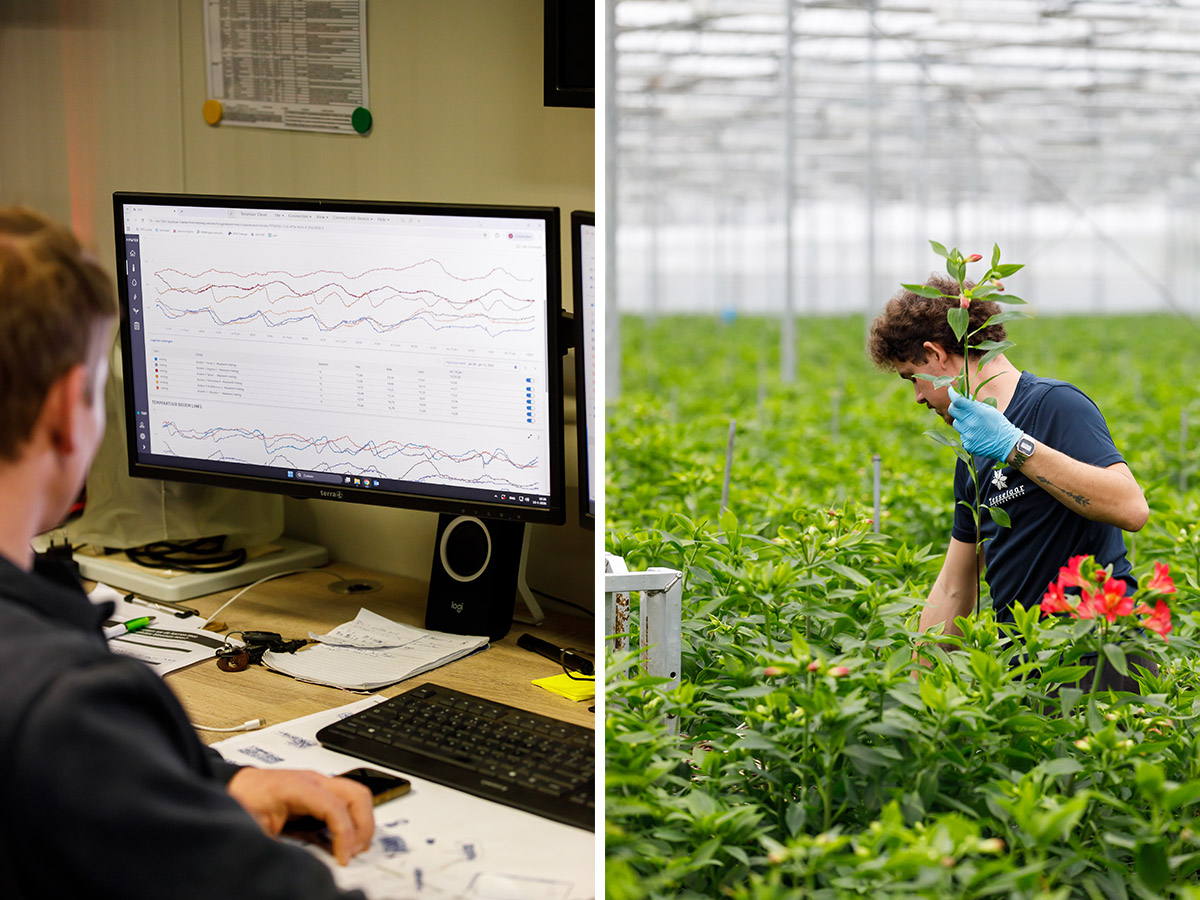 Karolien Tesselaar My Preparations for Valentines Day at work