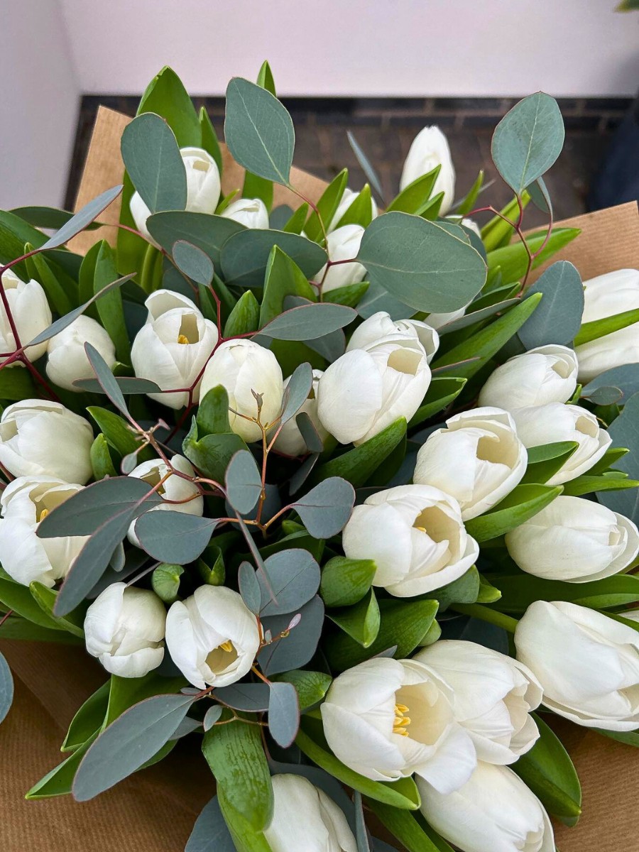 Do you know what the white tulip means? 