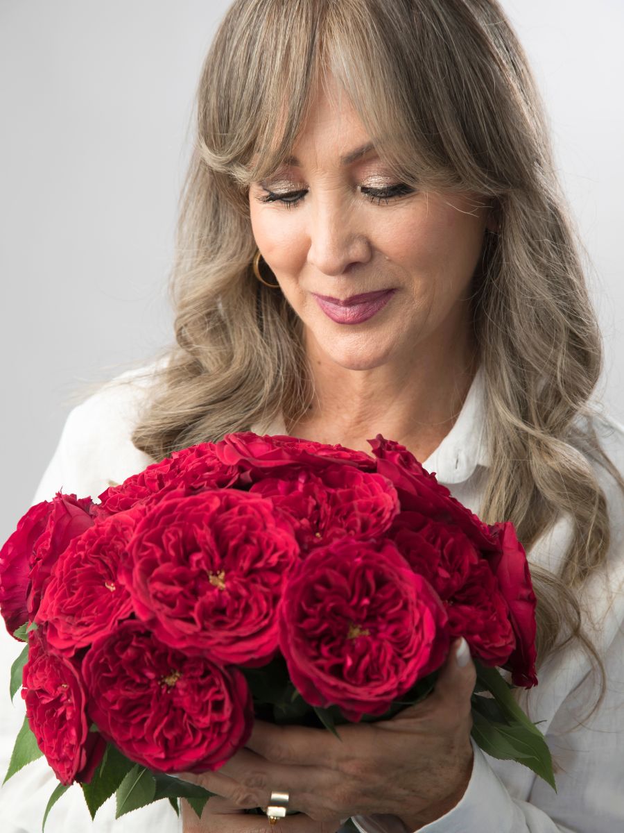 Rose Tess by Rosaprima