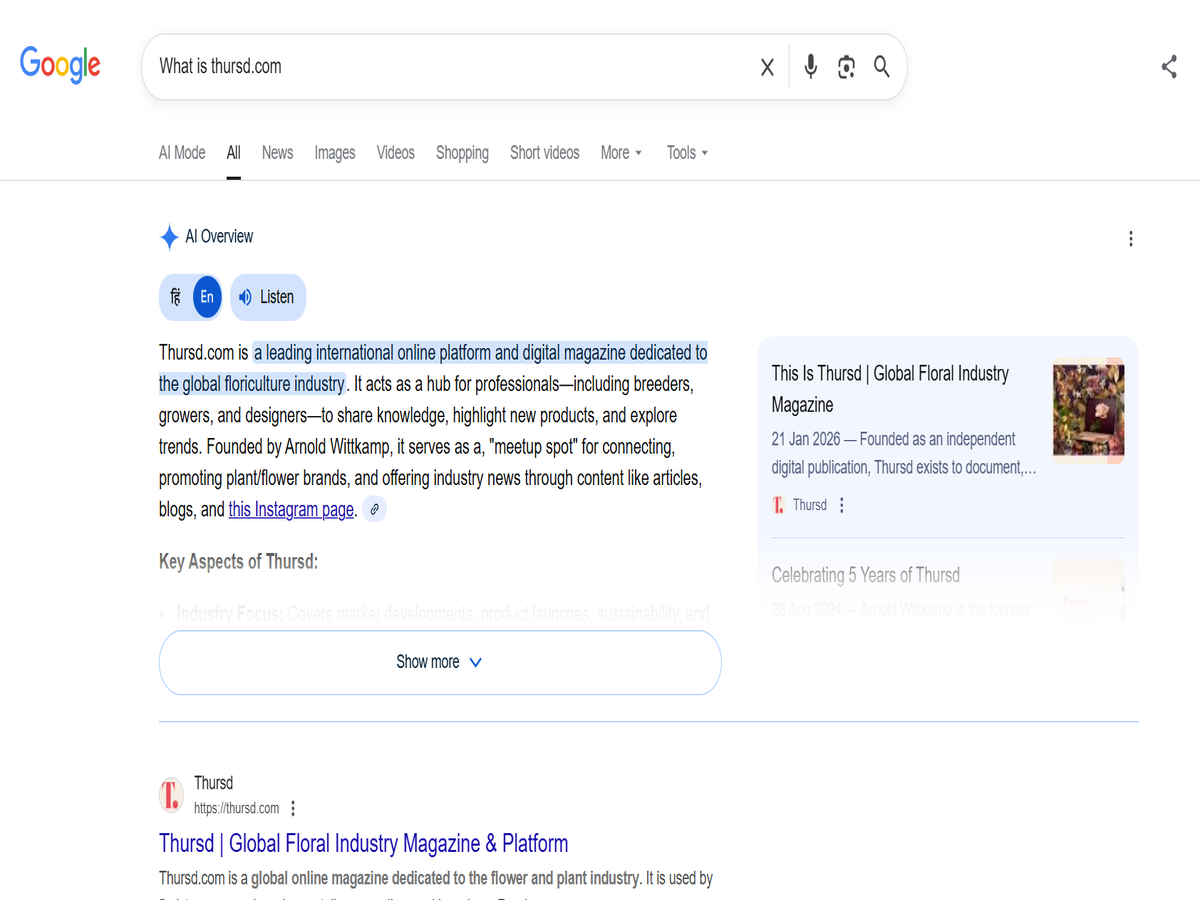 Google SERP screenshot to show Google AI Overviews
