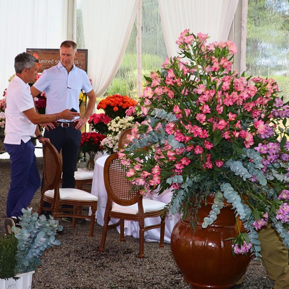 K&ouml;nst Alstroemeria&rsquo;s Eight Decades of Breeding Superior Genetics