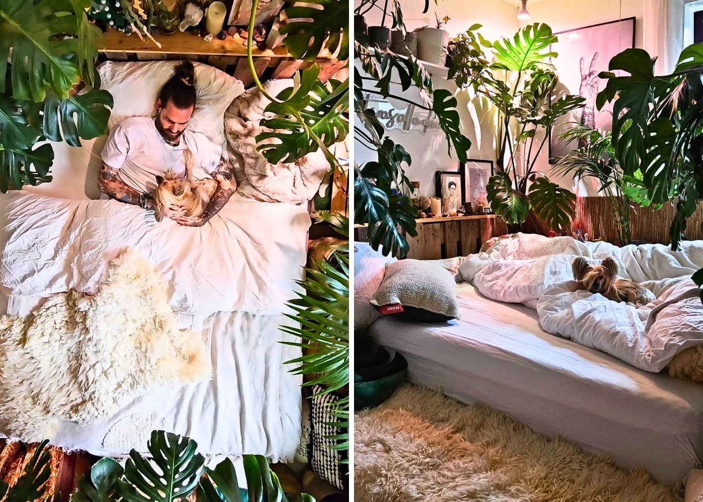 Gen Z Bedroom filled with plants