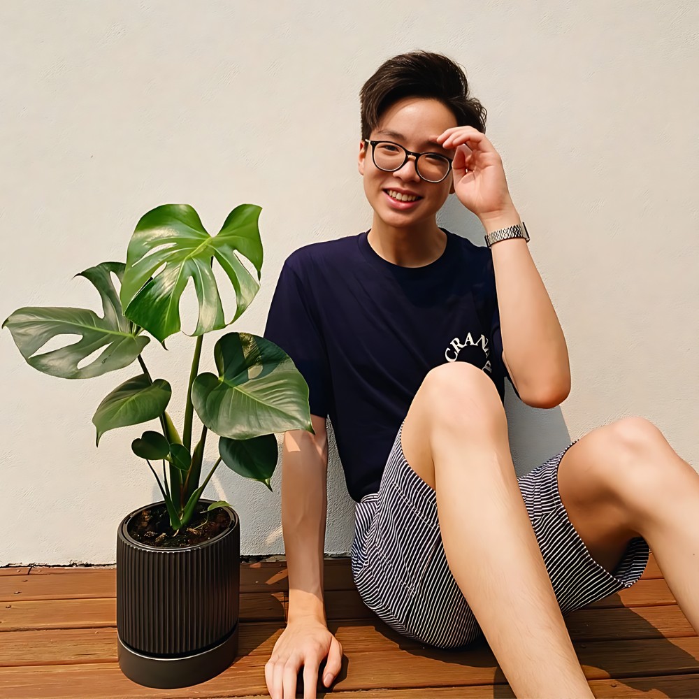 Monstera deliciosa Tauerii