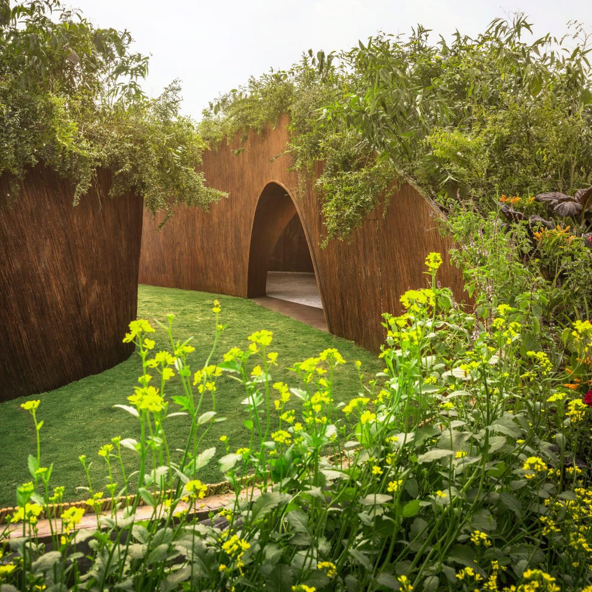 The roofs filled with greenery