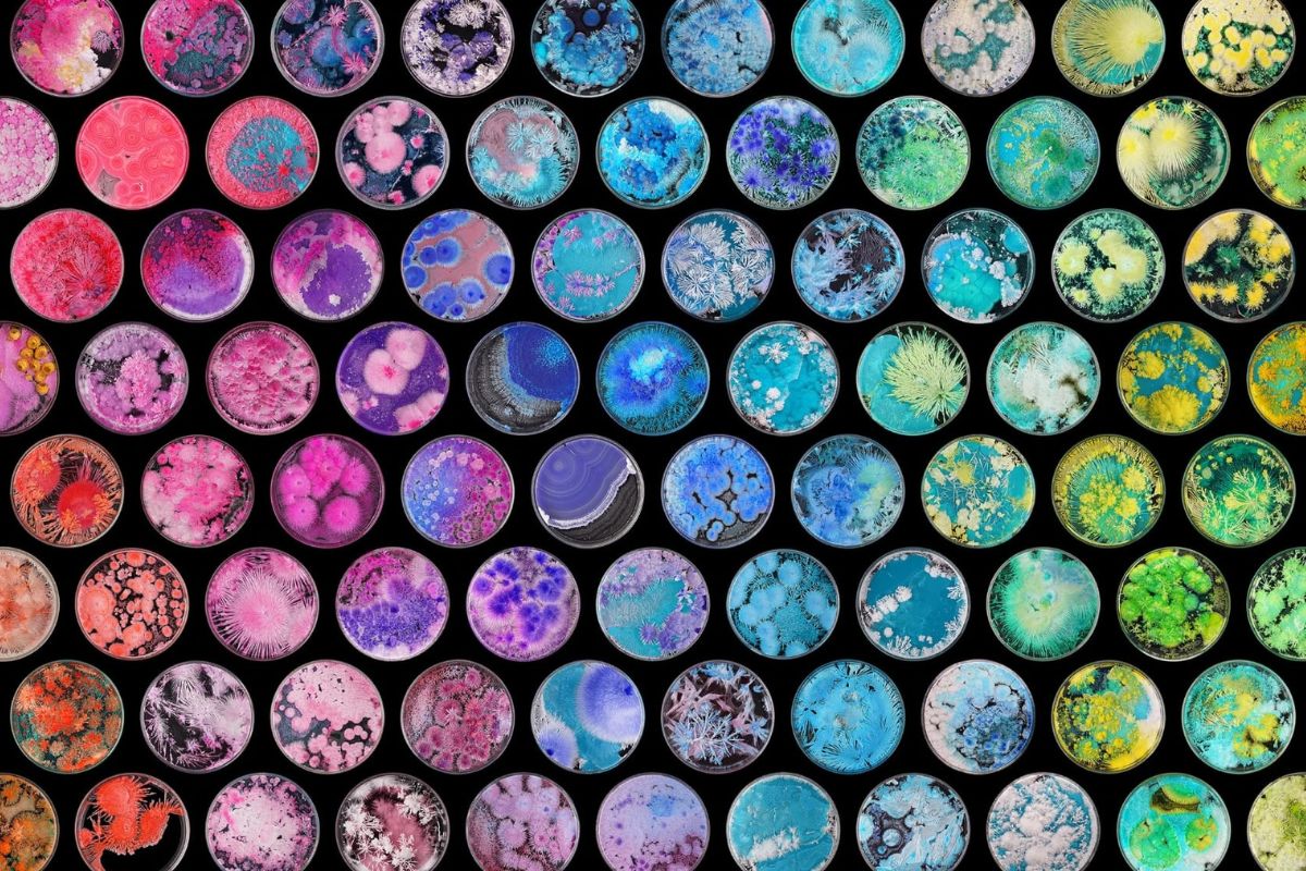 Full picture of colors and crystals