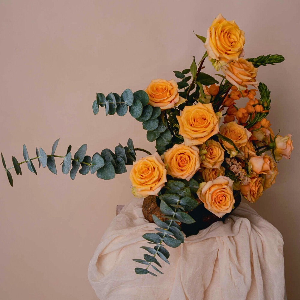 February 16 to 20, 2026, breeder Danziger will open their facility and trial fields at Beauty Line Farm, on North Lake Road, Naivasha