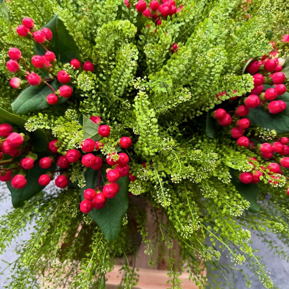 An Opportunity to Experience Danziger&rsquo;s Assortment at Their Open Days in Naivasha