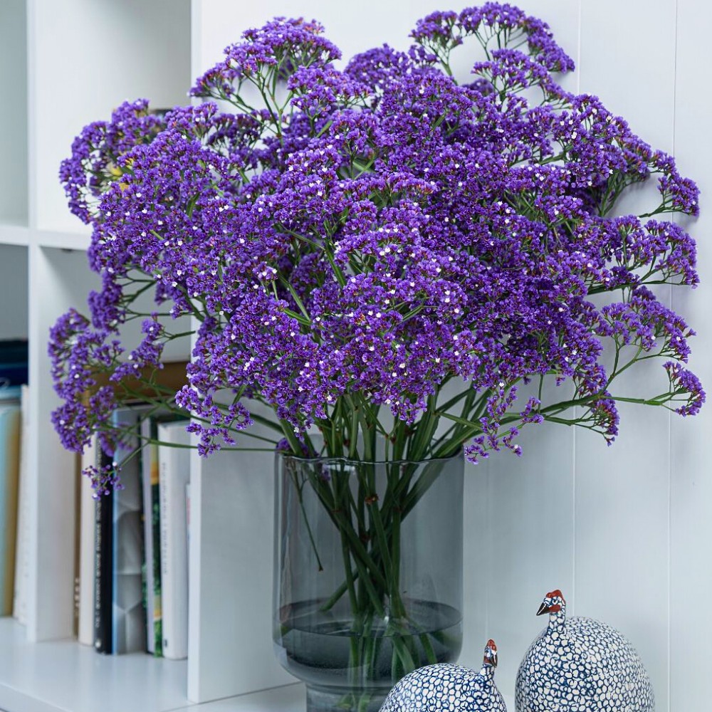 An Opportunity to Experience Danziger&rsquo;s Assortment at Their Open Days in Naivasha