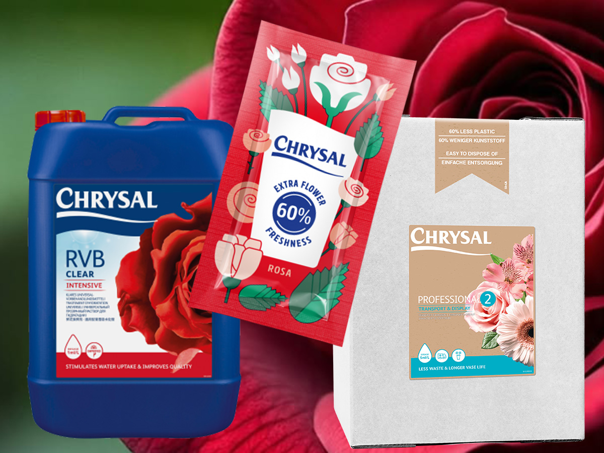 Chrysal Red Roses Solutions