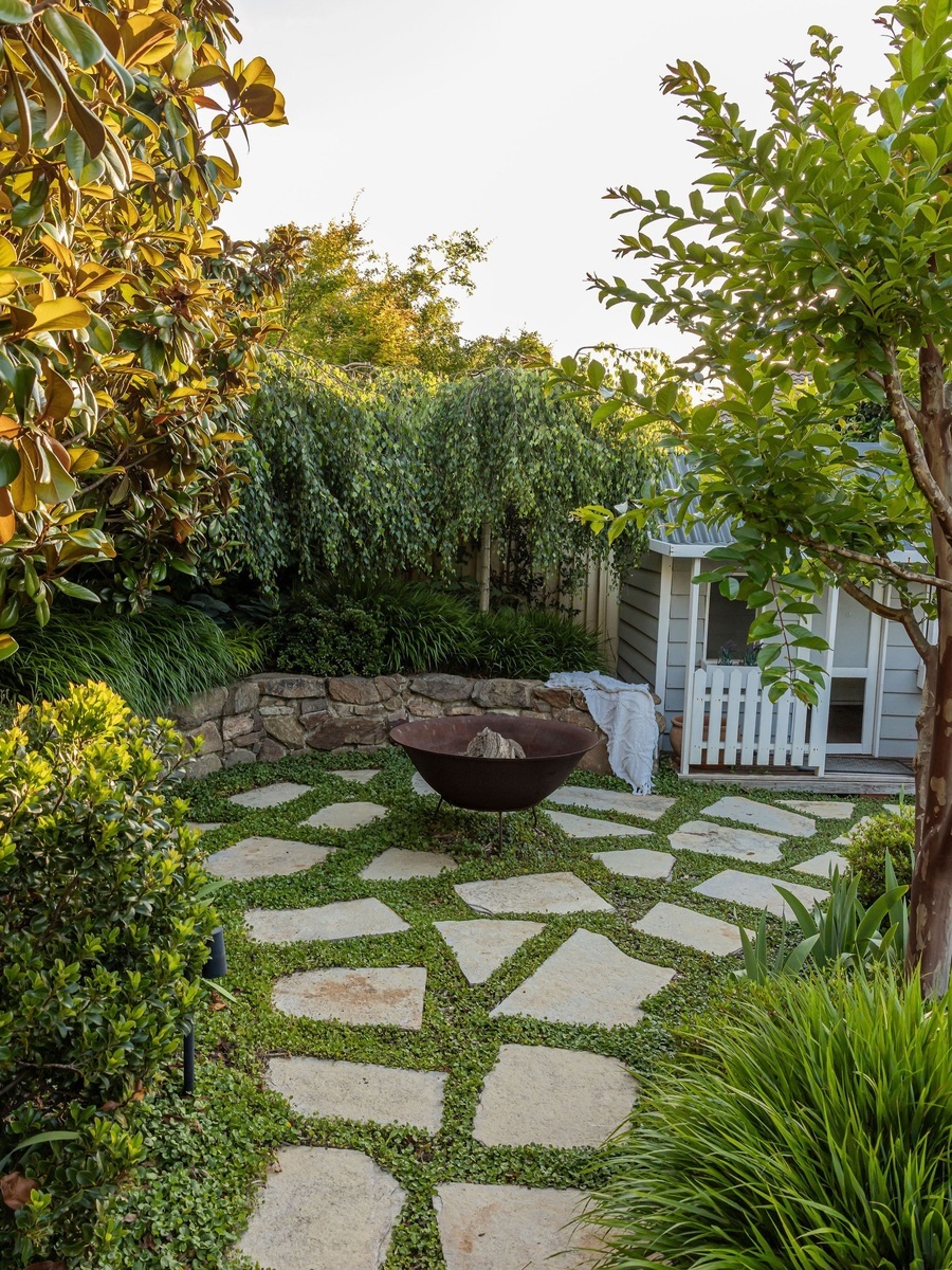 Plant rich landscape