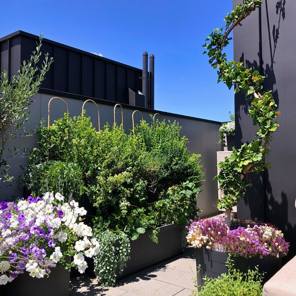 vines hanging through the walls and containers with beautiful flowers gives the roof a different look