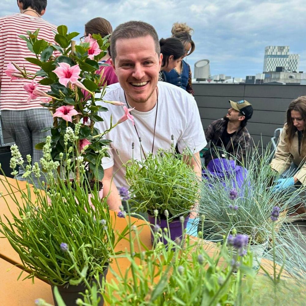 its important to be aware of the soil depth and maintain drainage for growing plants healthily in your rooftop