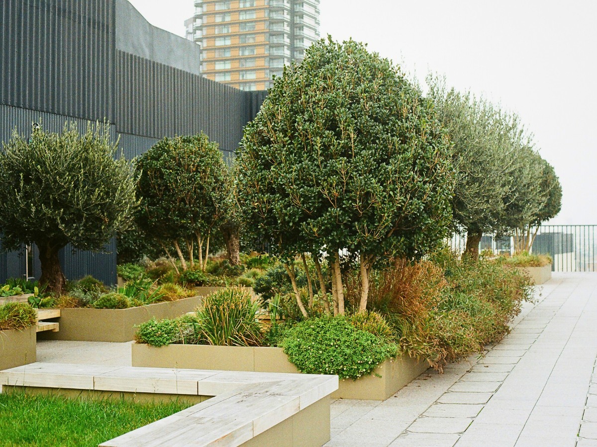 structural integrity of the roof is important to reach a wider plant selection for your rooftop garden, especially those that weigh more