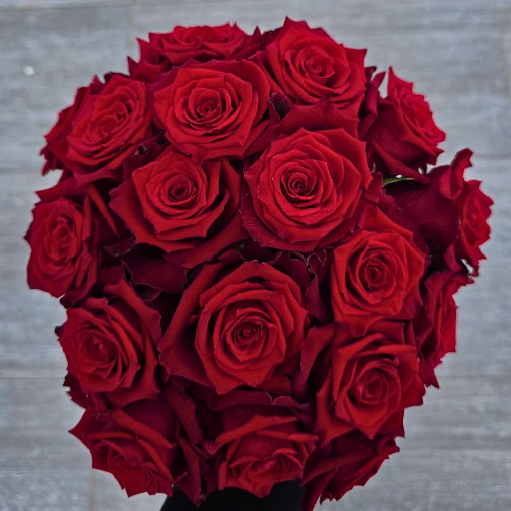 Rose Born Free From De Ruiter Innovations in Bouquet 