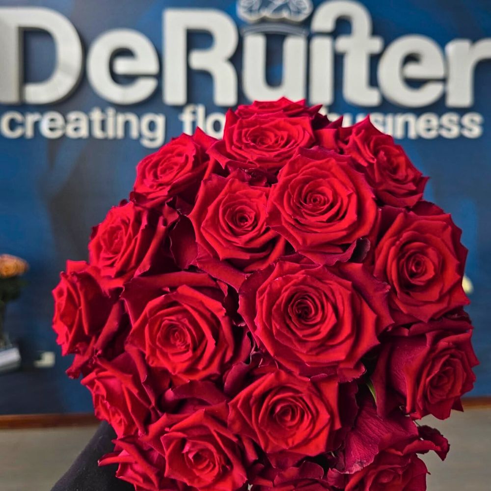 De Ruiter Innovations With Rose Born Free