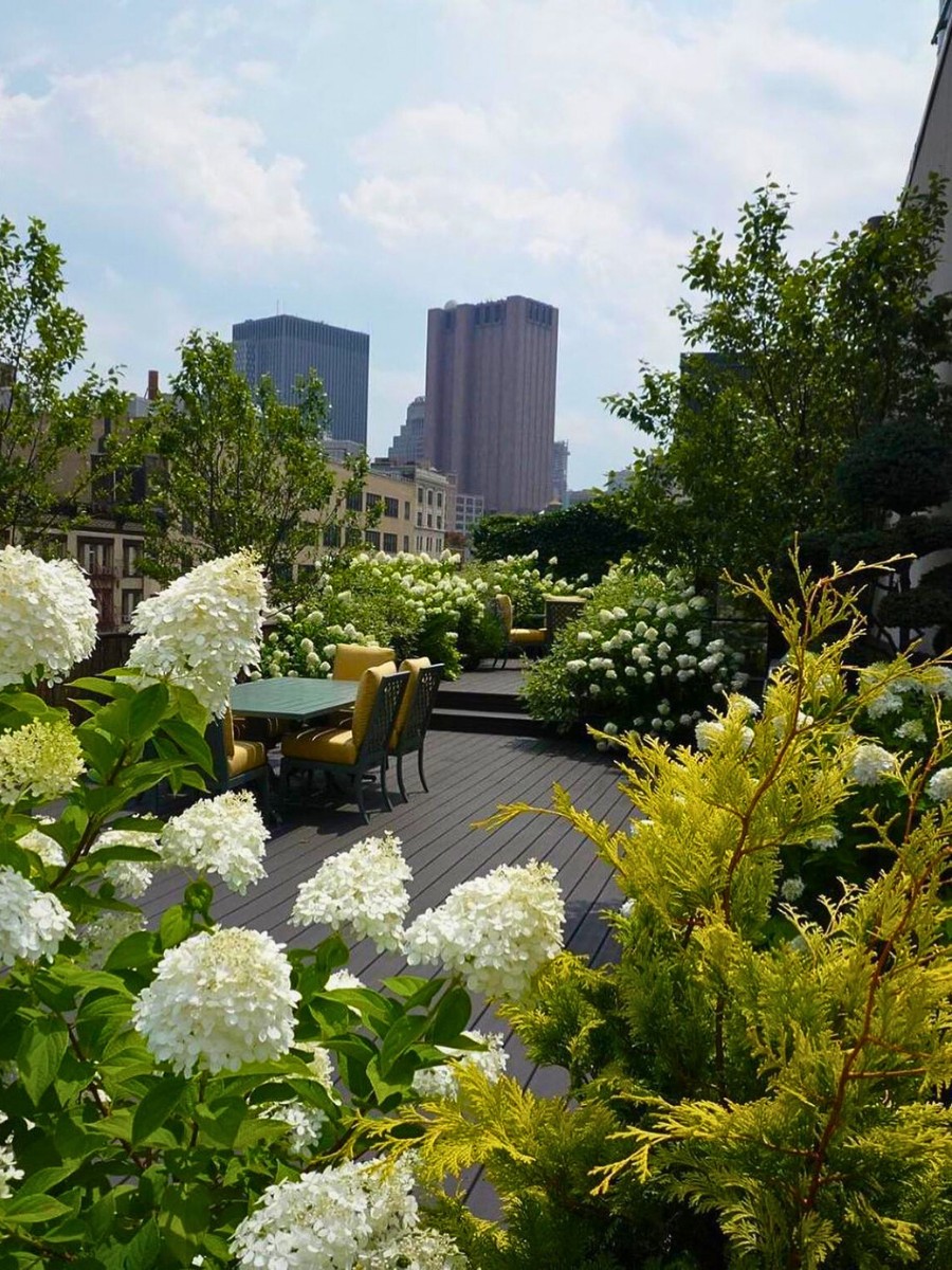 green roof garden with beautiful white flowers