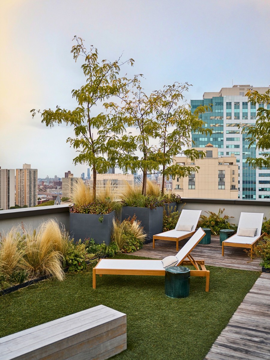 these plants can be subject to tough conditions at times and need to be hardy in nature