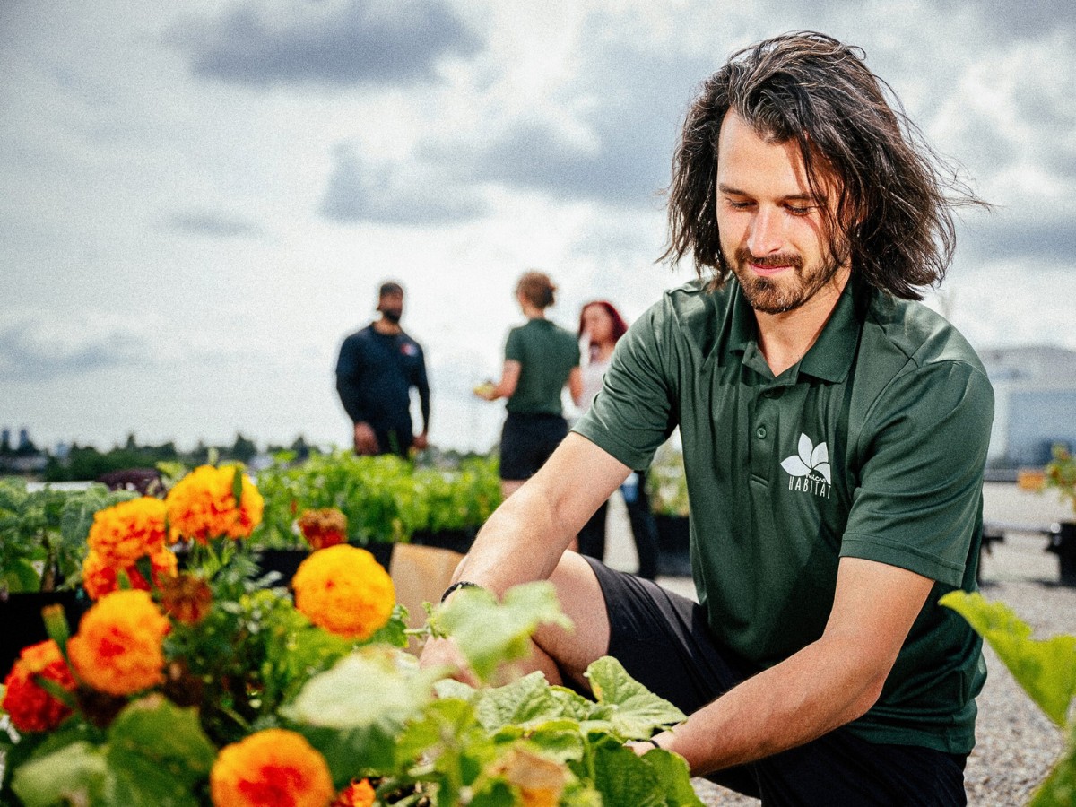 With rooftop gardens, you can effortlessly create a flourishing green space above the streets
