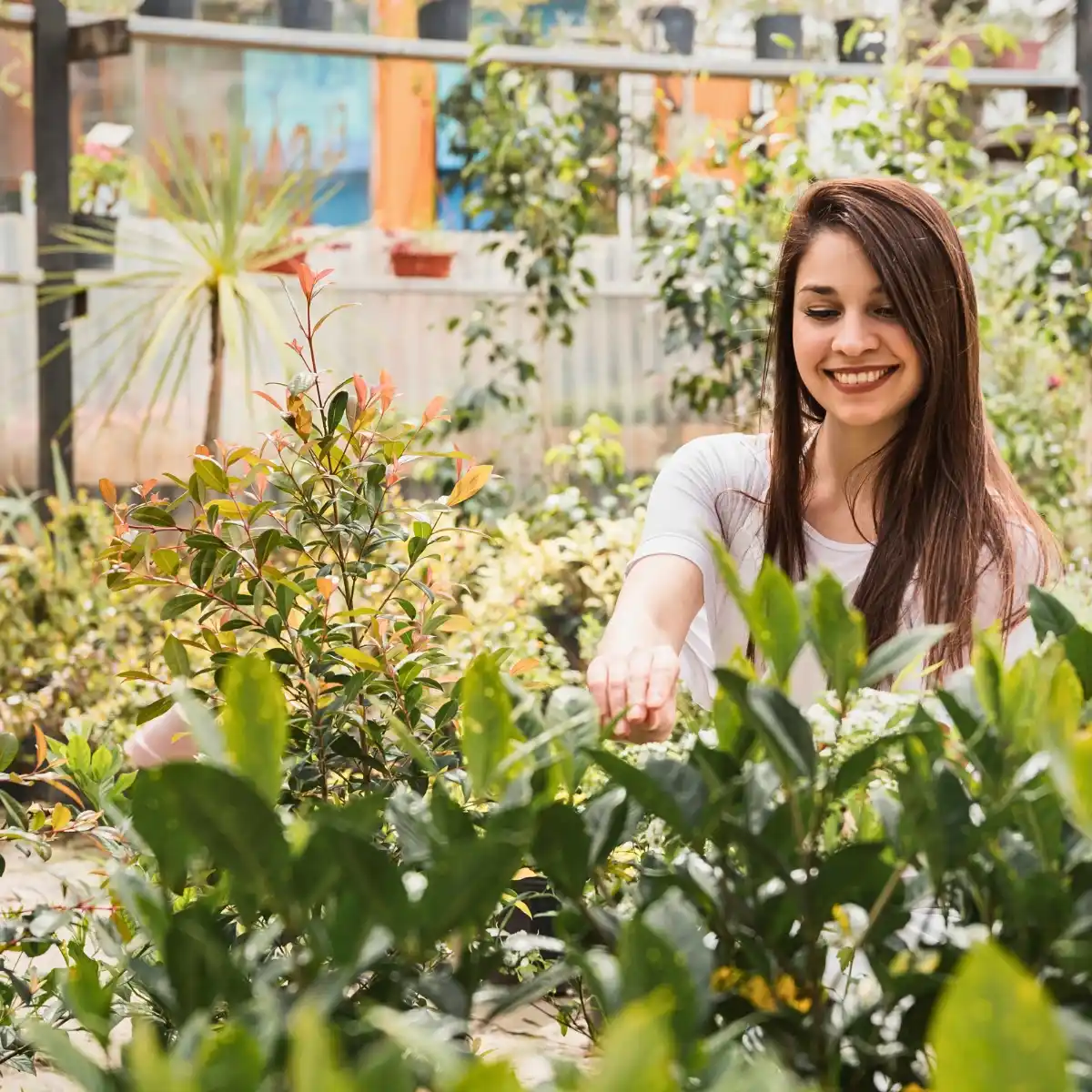 What Are the Best Plants for a Rooftop Garden? And Which Plants Work Best for Rooftop Garden Planters, Especially in Urban Spaces?