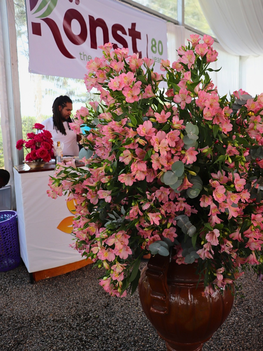 K&ouml;nst Alstroemeria&rsquo;s Eight Decades of Breeding Superior Genetics