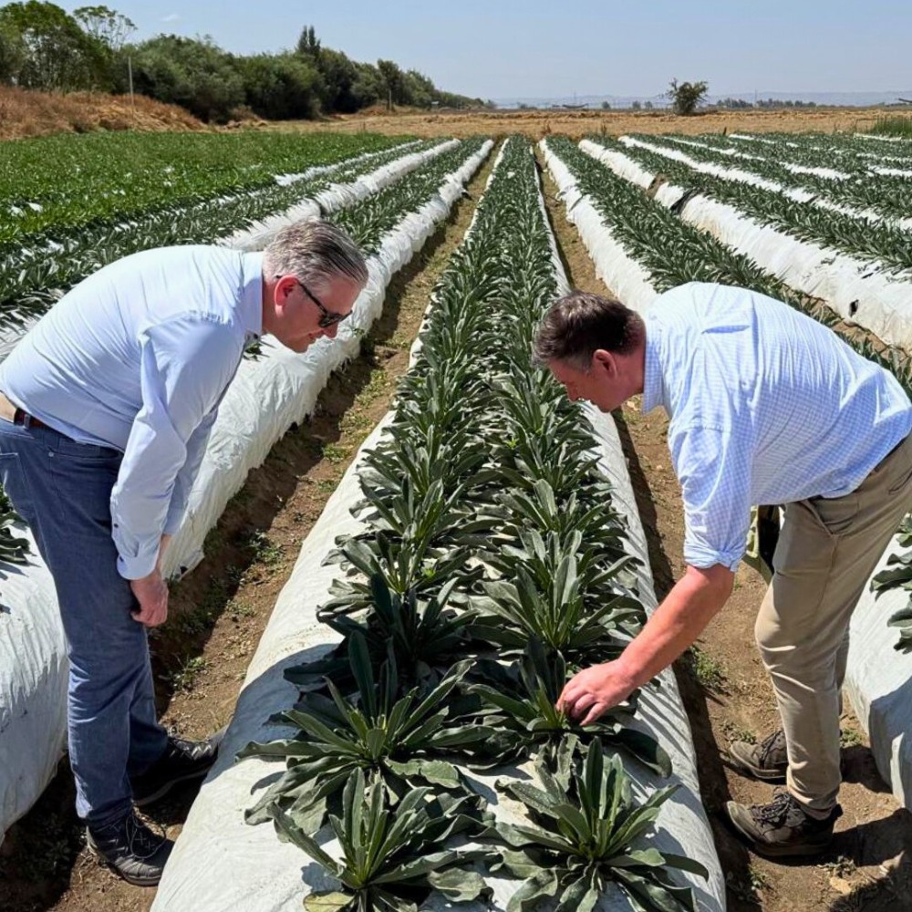 Through their efforts, the Ethiopian Horticulture Producer Exporters Association gives enough reasons why you need to buy more flowers produced in the country!