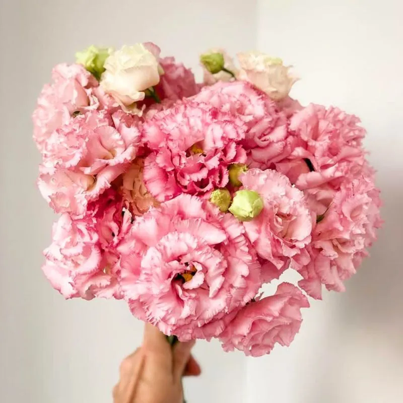 What's New 'Round the Clock?