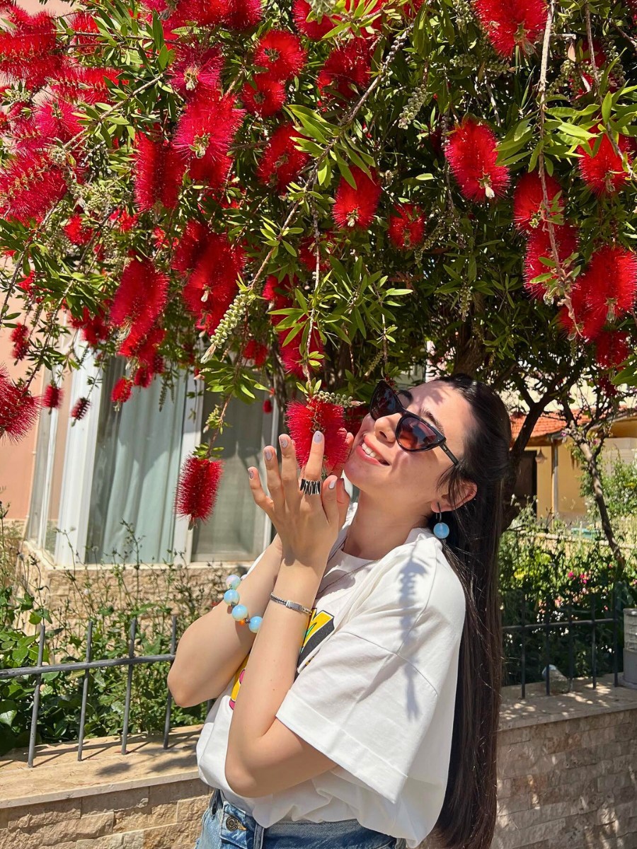 Where and how can I buy a crimson bottlebrush for my garden?