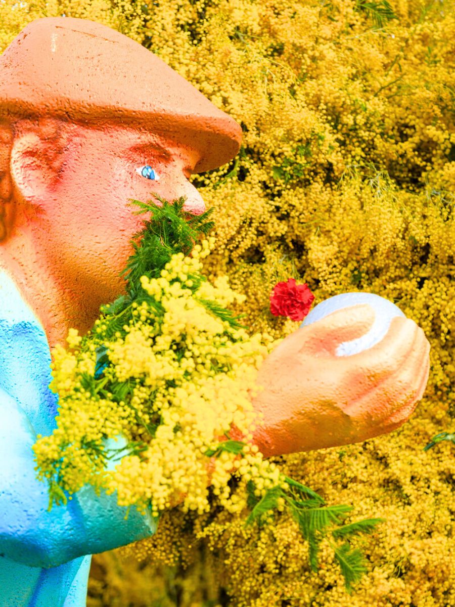 Characters adorned with mimosa flowers