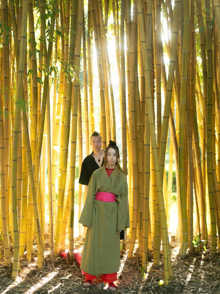 Komorebi: All About Sunlight Leaking Through the Trees and the Delicate Interplay of Light and Shadow in Nature