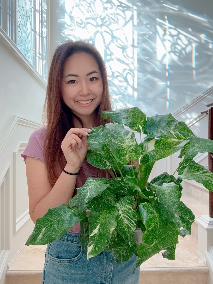 Girl Holding Green Plants