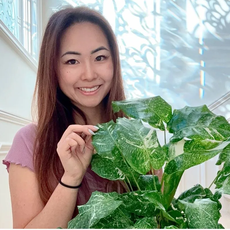 Plants With Clarity - Feature Image