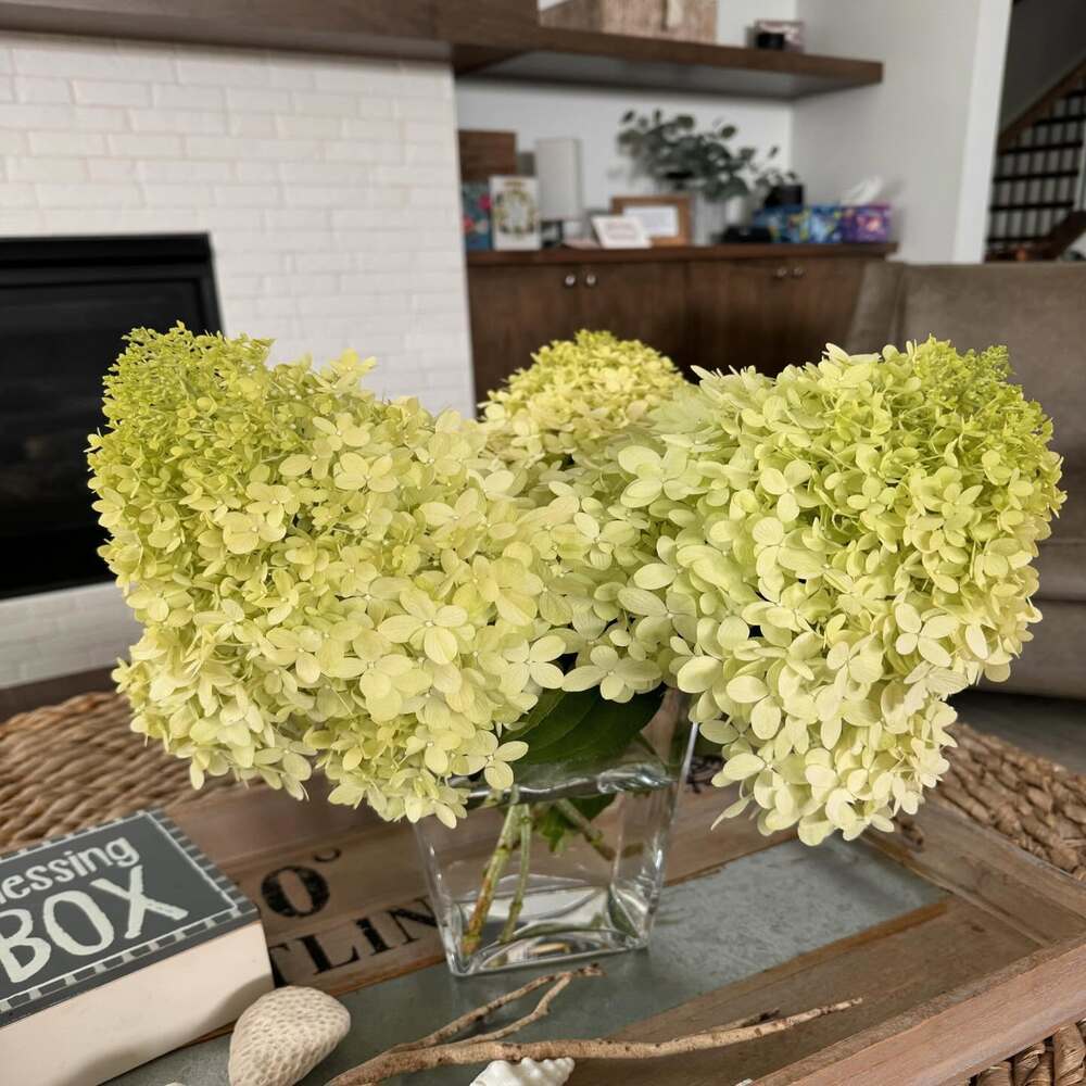 Fresh yellow flower for you Biophilic home