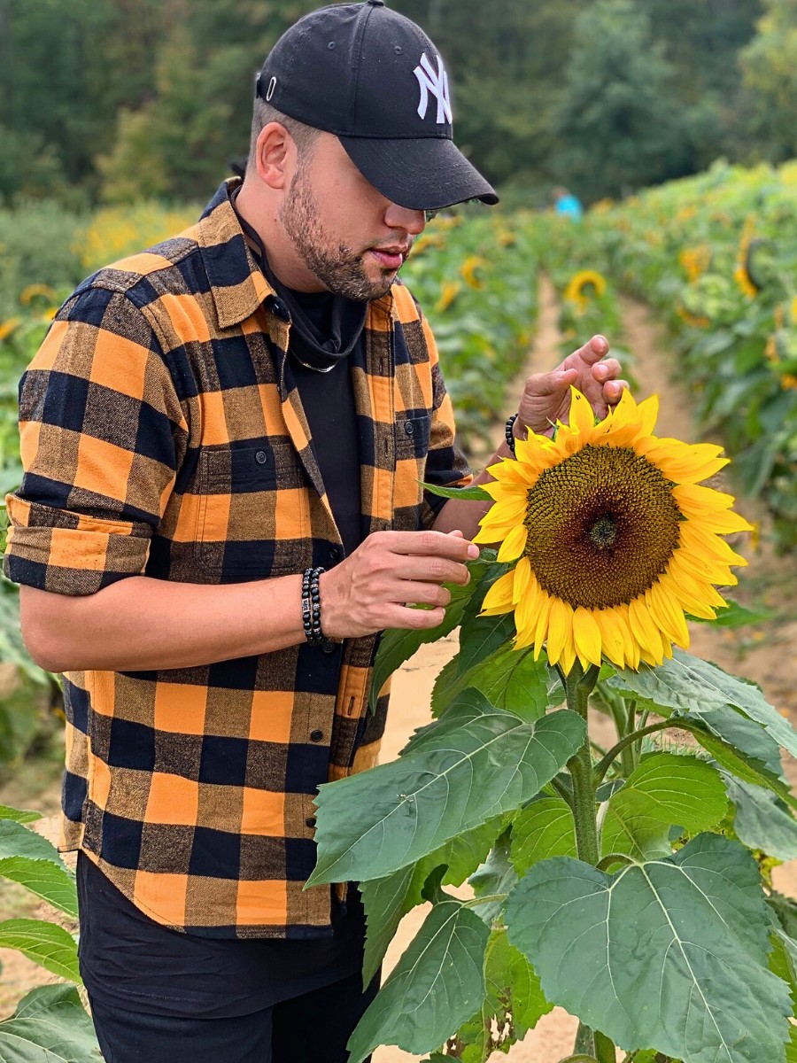 The Science of Spring Blooming and What Triggers Plants to Flower