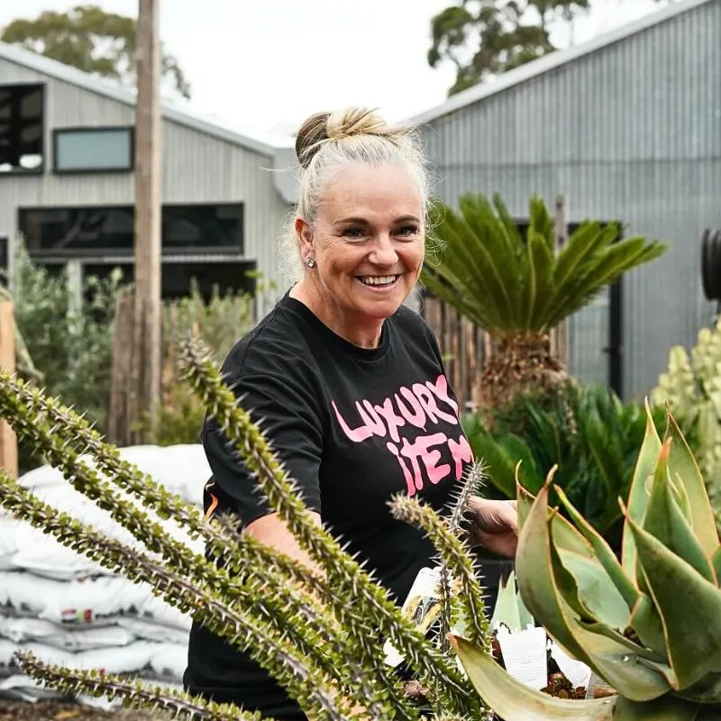 Practical Gardening Ideas Feature image