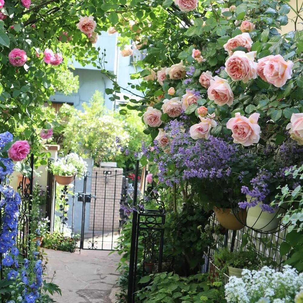 Flowering outdoor garden