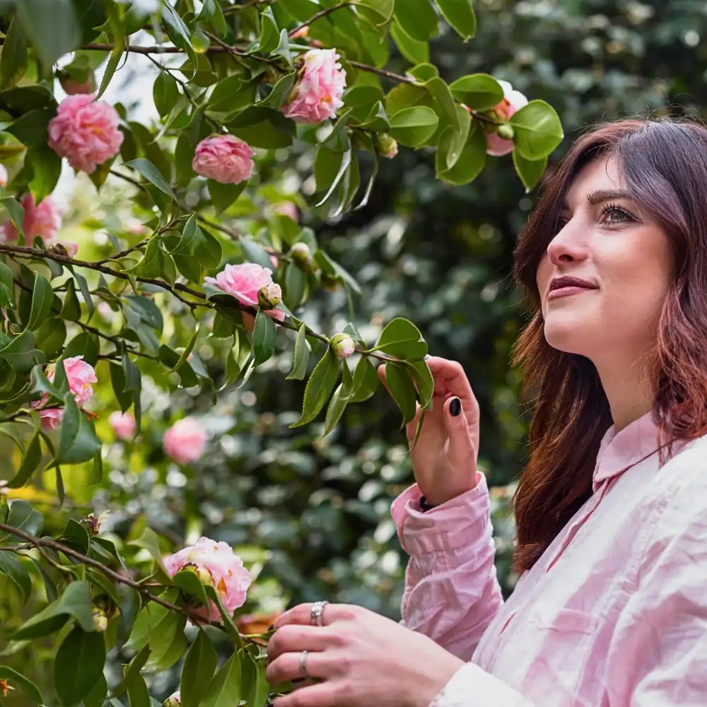 Science of Springtime Blooming and What Triggers Plants to Flower