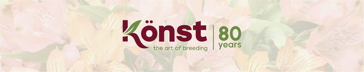 BannerKonstAlstroemeria 80 Years