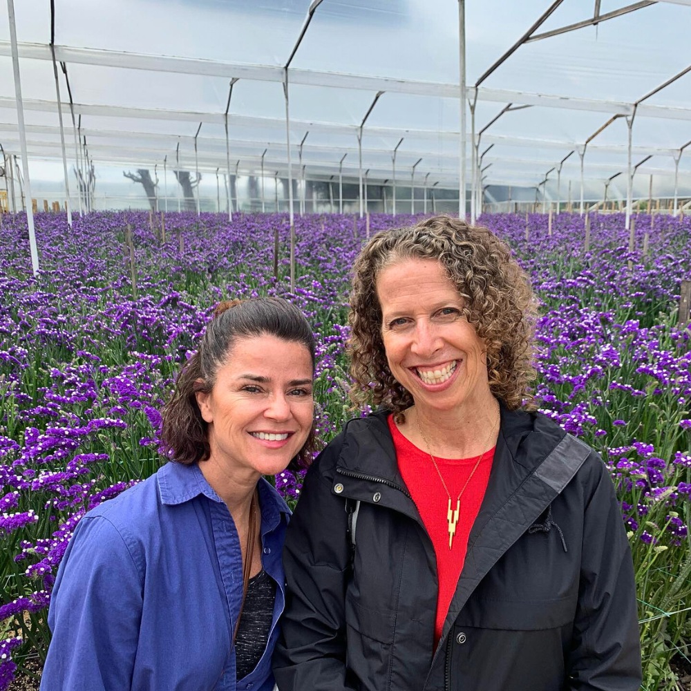 What Is the Society of American Florists (SAF)?