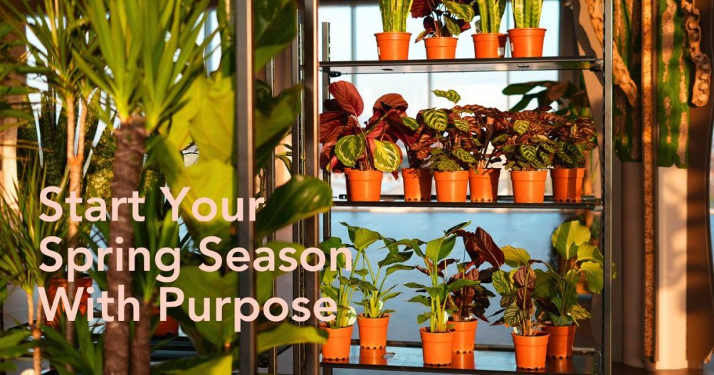 Why Sample World Spring Fair Matters This April