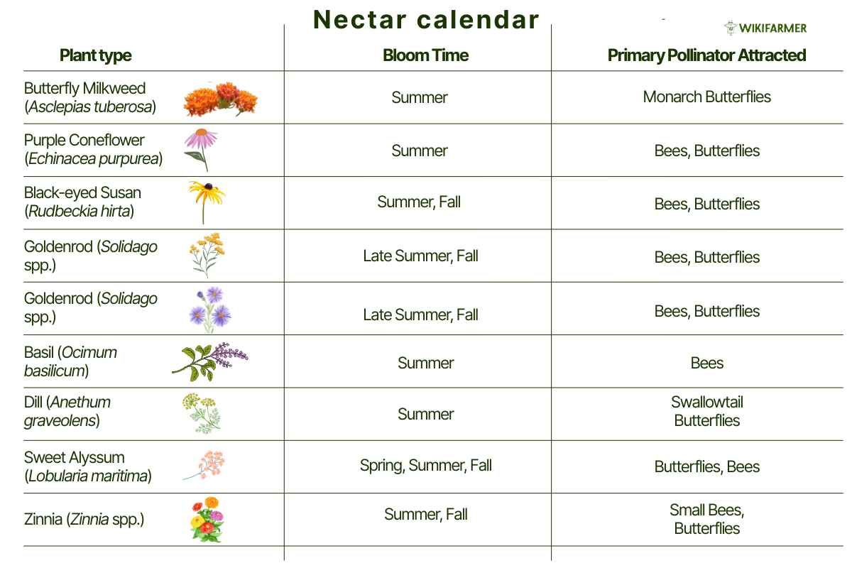 Nectar Calendar for pollinator friendly garden