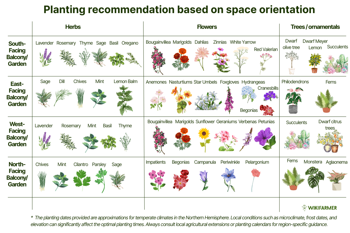 Planting recommendation based on space orientation - Wikifarmer