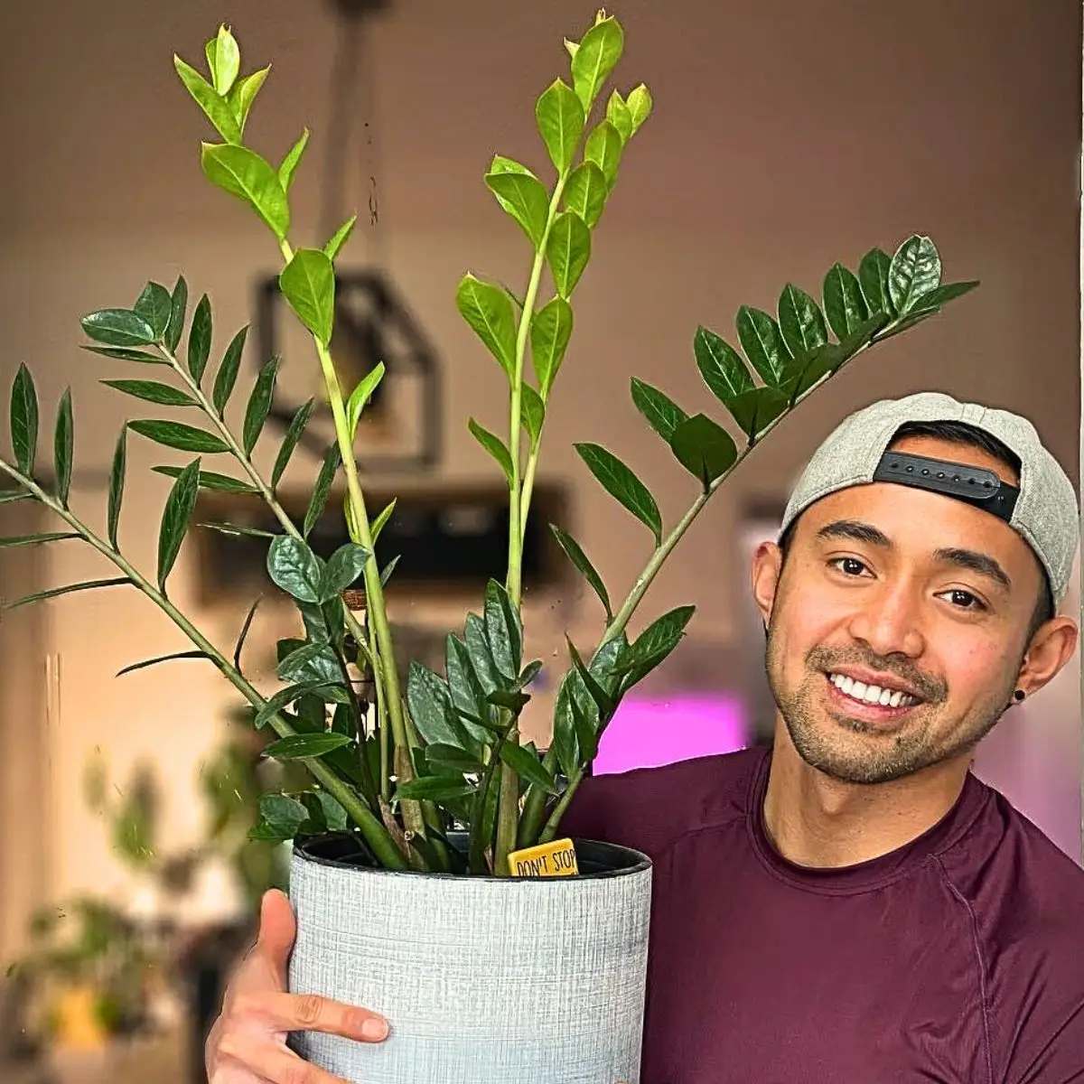 Stress relief plant - Feature Image