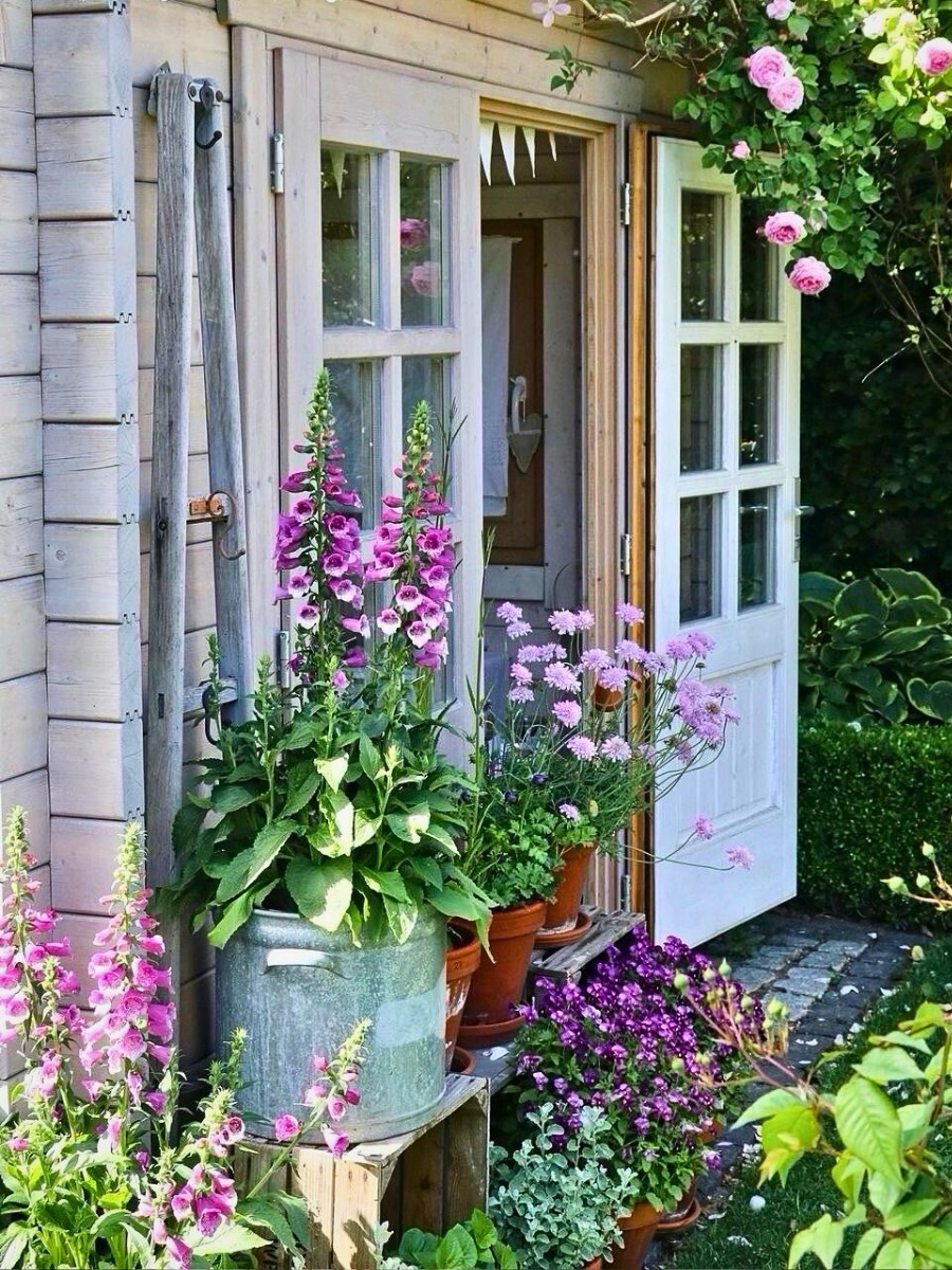 Five Ways to Add Quick Touch of Color to Spring Gardens