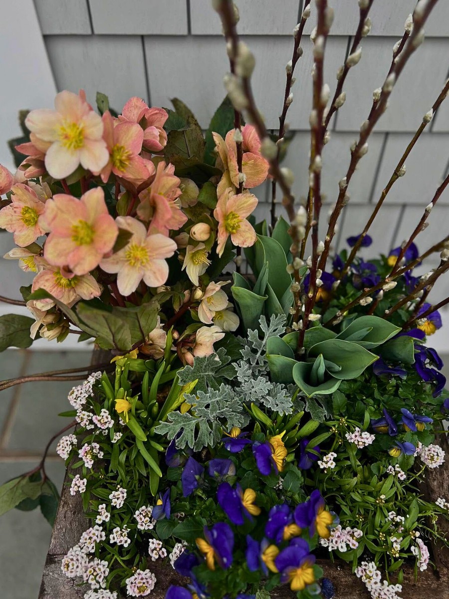 Ways to Add Quick Touch of Color to Spring Gardens