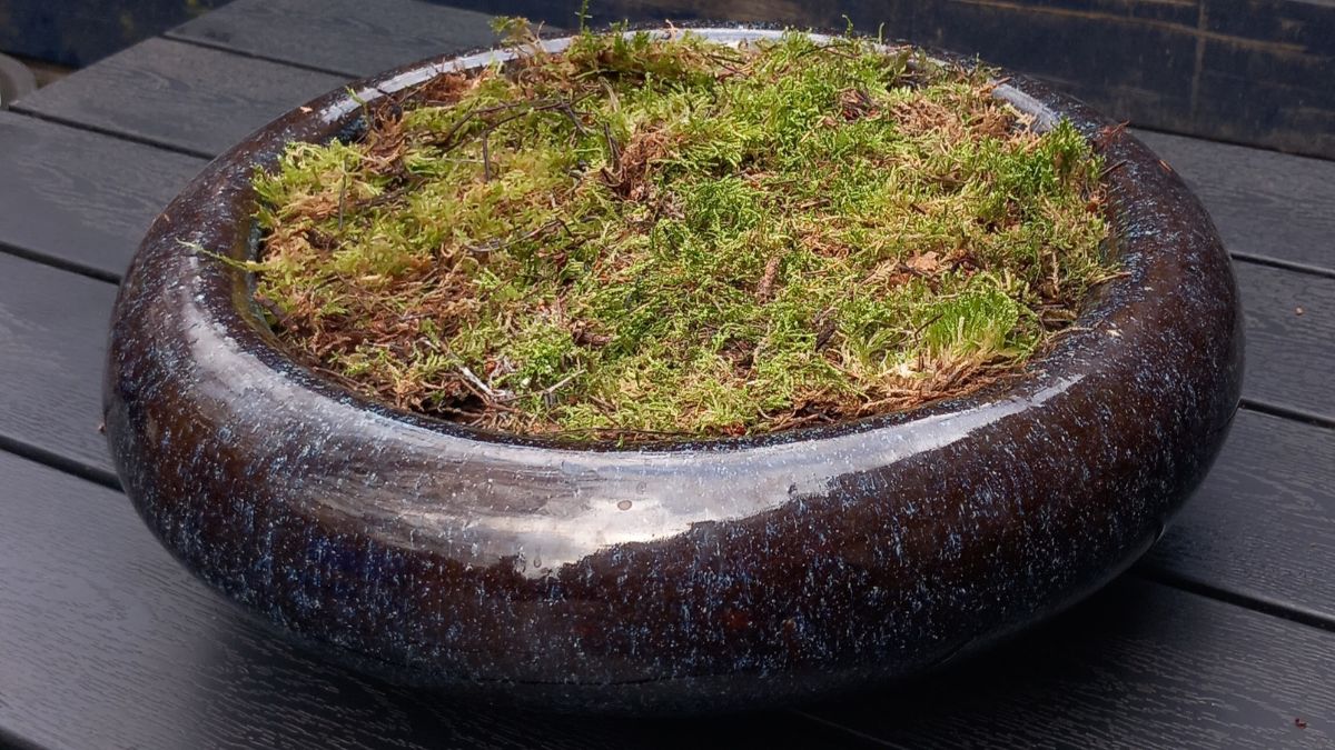 Step 2 Valentin Candina Mahn Valentine Arrangement