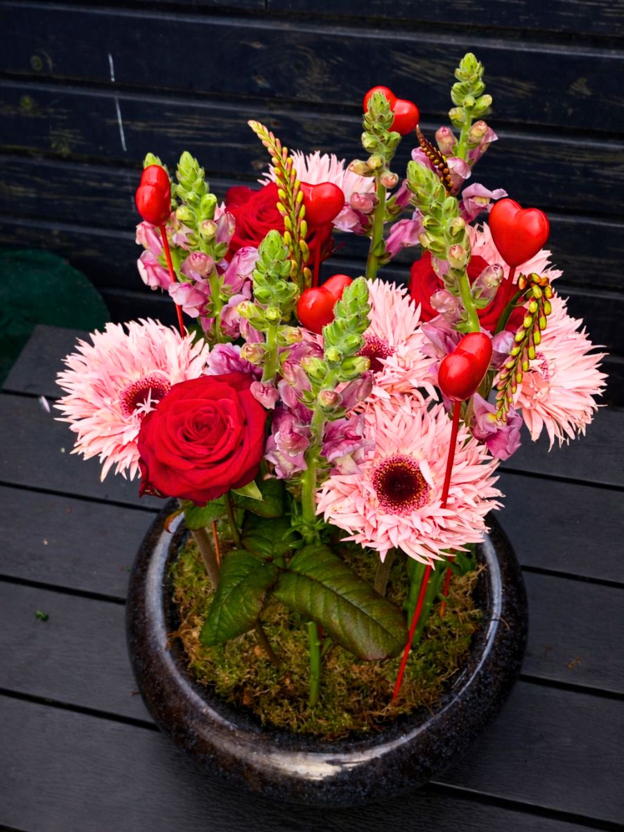 Valentin Candina Mahn Valentine Arrangement result