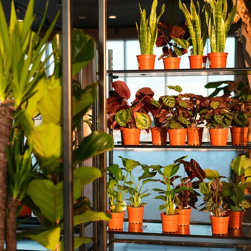 Sample World Spring Fair at Floriworld Is the Place to Be This April