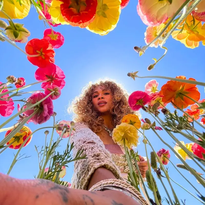 Carlsbad Flower Fields