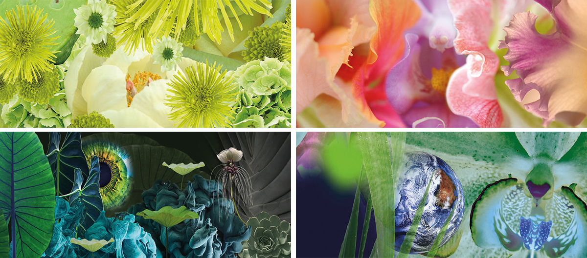 Geert Maas art Our World Now