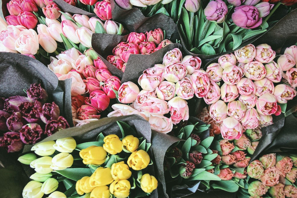 The Definition of a Florist - How Has the  Profession Evolved? Tulips